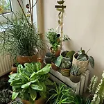 Gemuetliche Schlafcouch Im Hellen Wohnzimmer Zum Kurzaufenthalt